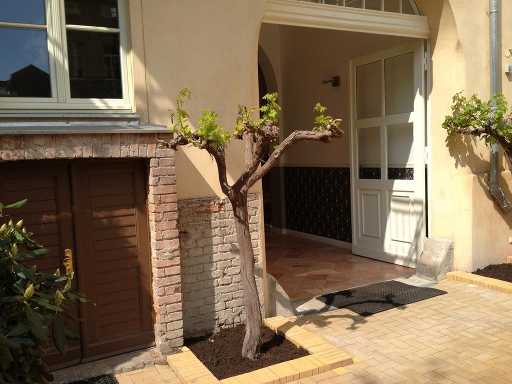 Garden Living - Boutique Hotel Berlin Luaran gambar